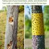 Double-Sided Sticky Insect Trap Tape