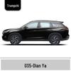 Ivory White and Bright Moon Gray Touch-Up Paint Pen for GAC Trumpchi GS5 - Scratch Repair Solution