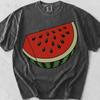 Watermelon Pop Art Graphic Tee, Retro Fruit Comfort Colors Cotton Shirt