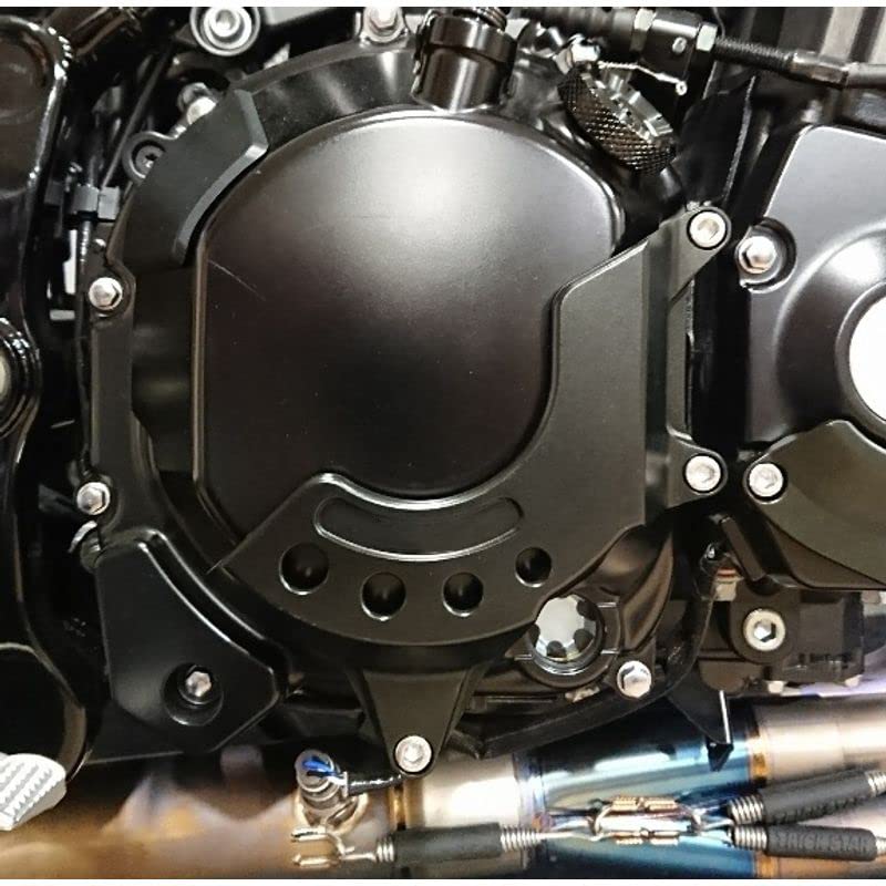 LEDISHUN Engine Engine Engine Guard for Kawasaki and Z900RSCAFE Model Cover, Slider, Z900, Z900RS, (All Years) (Z900RS/cafe, Gold)