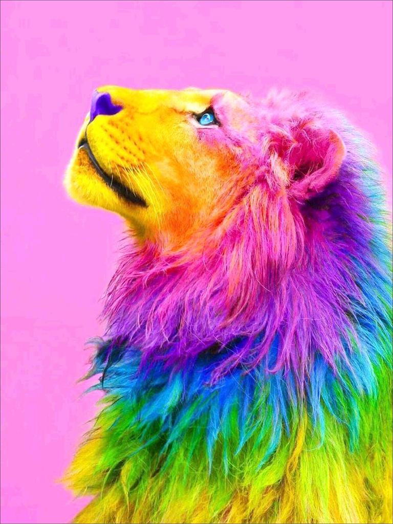 5D Diy Diamant Malerei Kreuzstich Kits Mosaik Diamant Stickerei Strass Mosaik Geschenk Dekorationen für Zuhause