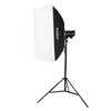 Godox DP400III Studio Flash Light