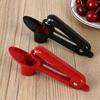 Stainless Steel Cherry & Date Pitter Tool