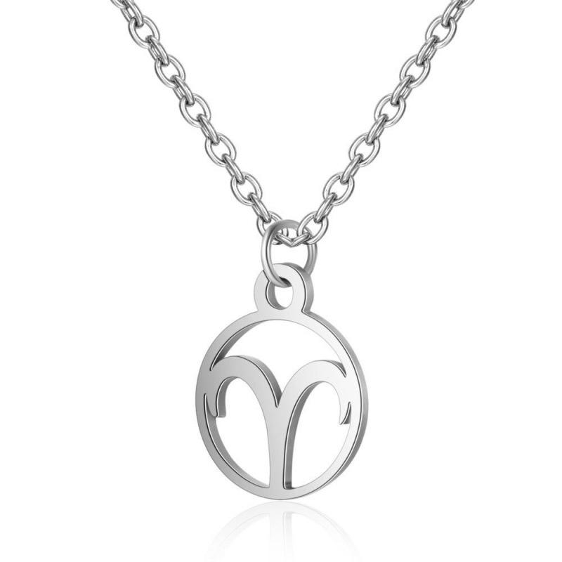 Stainless Steel Zodiac Pendant Necklace with Thin Chain