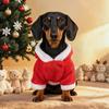 Pet Christmas Costume Santa Outfit Small Dogs Cats Warm Holiday Party Dress-Up Suit