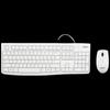 Periféricos para computadores – Ratos e teclados