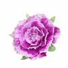 30cm Size Giant Velvet Peony High Quality Handmade Large Foaming Velvet Peony Dyeing Velvet Simulation Fake Flowers Props Decor
