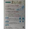 Women's Arch Support Insoles for Foot Pain, Foot Fatigue, Calluses, and More. Perfect for High Heels, Pumps, Boots, and Sandals. [Mamorukun]