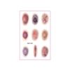 Sweatproof Bruise Scab Scar Tattoo Sticker Waterproof Zombie Cosplay Props  Festival Carnival