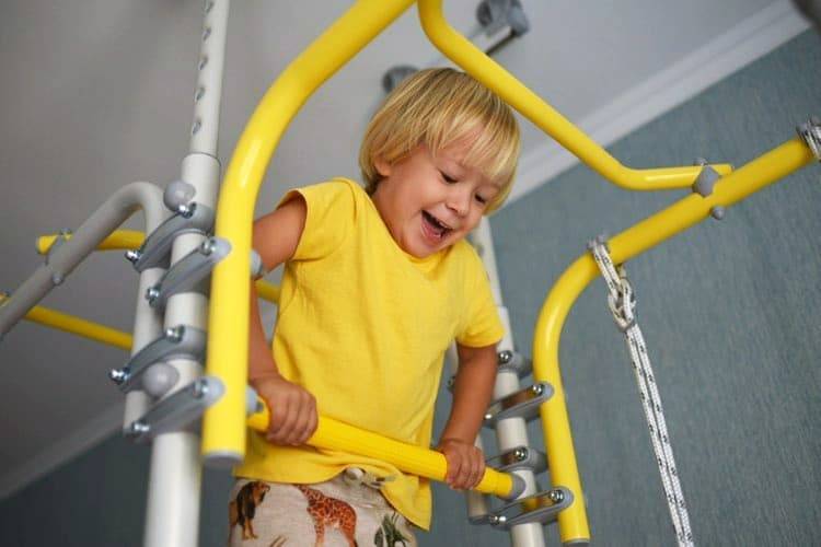Gymnastic Ladder Transformer - Provenance