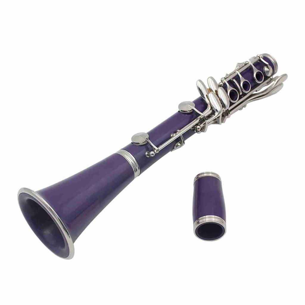 Clarinet ABS 17 Key bB Flat Soprano Binocular Clarinet with Cleaning Cloth Gloves 10 Reeds Screwdriver Reed Case