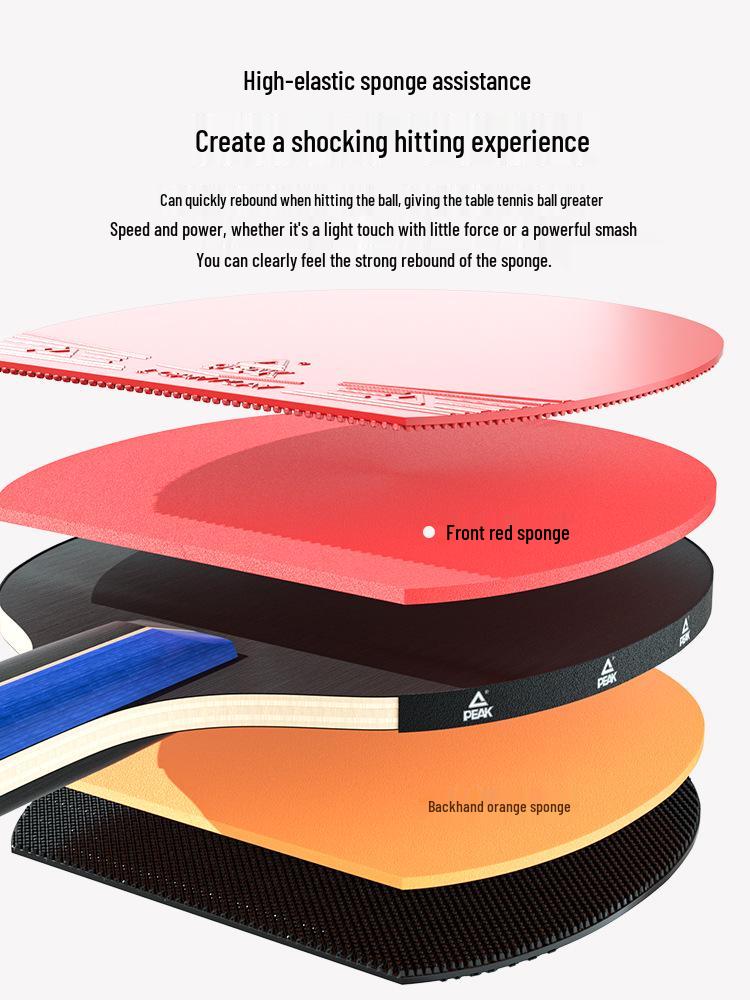 PEAK Table Tennis Racket - Beginner To Professional, Children & Adults, for Training & Competition