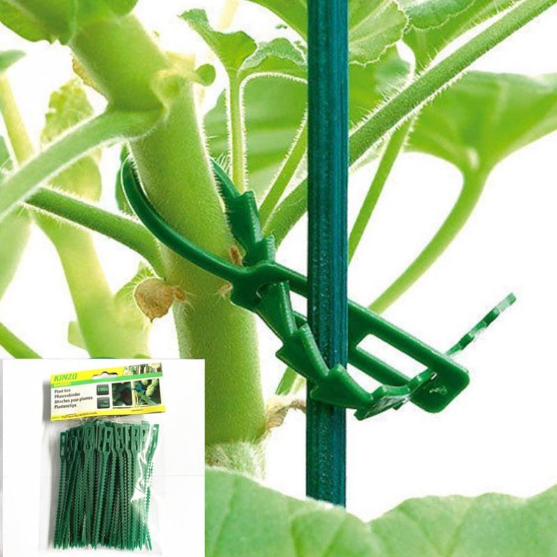 100pcs Green Plant Ties Reusable Garden Fasteners for Climbing Plants Tomatoes Vines Support