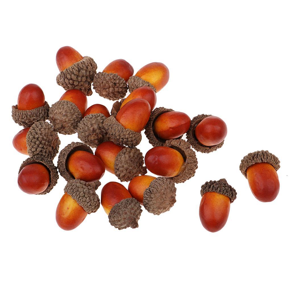 100Pcs Natural Acorns Real Acorns Caps Home DIY Christmas Natural Acorn