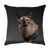 Cute Cat Pillowcase Car Ornaments Living Room Office Home Pillowcase