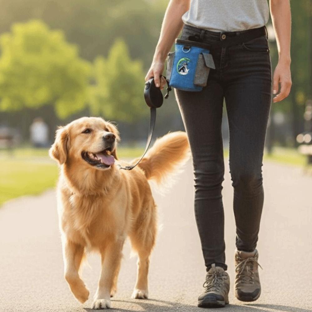 Waterproof Dog Training Treat Pouch Stain-resistant Wear-resistant Training Waist Bag Eco-friendly Oxford Fabric