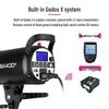 Godox 400W Studio Flash Kit