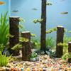 FishTank Shrimp Breeding Artificial Trunk Ornaments for Aquariums Terrarium Landscaping Shelter Decoration