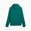 Puma AMF1 ESSENTIAL Herren Hoodie grün 63538904 r L