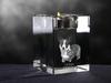 Cardigan Welsh Corgi I – Candle holder with dog photo, crystal tealight holder | Art-Dog