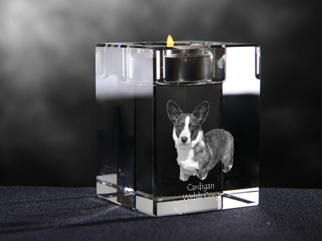 Cardigan Welsh Corgi I – Candle holder with dog photo, crystal tealight holder | Art-Dog