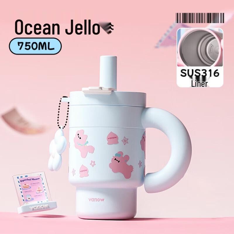Vanow 750ml Stainless Steel Insulated Straw Tumbler