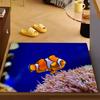 Cute Animal Clownfish Ocean Door Mat Bath Microfiber Decorative Versatile Flannel Floor Mat Quick Dry Absorbent Non-slip Sole
