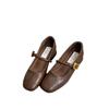 French Evening Breeze Light Mouth Single Shoes Women's Thick Heel 2025 Spring New Korean Version Small Leather Shoes Retro Middle Heel Mary Jane Shoes