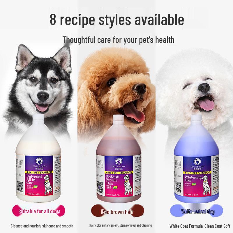 Ferret & Dog Conditioning Bath Gel, Long-Lasting Scent, 3.78L Shampoo Bucket