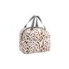 Insulated Lunch Bag with Zipper Closure and Dual Handles Lightweight Portable Thermal Tote for Food Storage and Travel