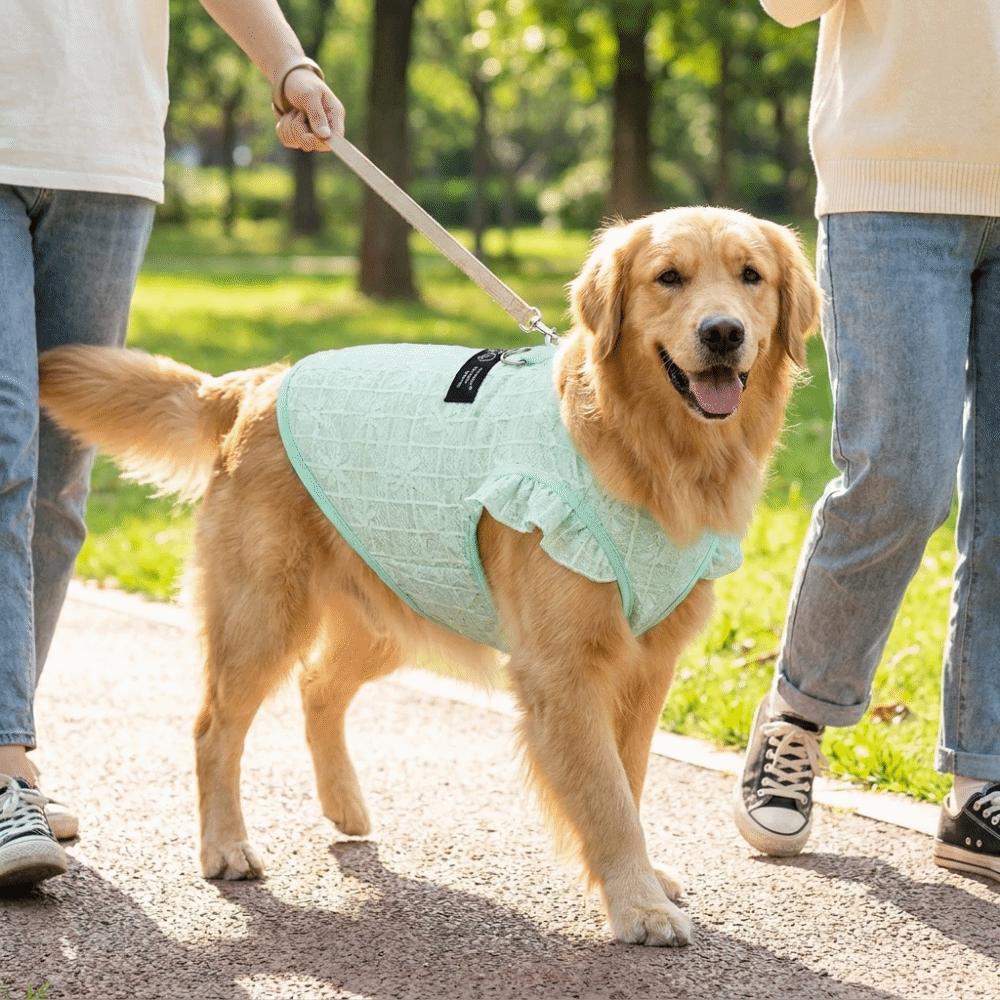 Airy Fabric Pet Cooling Vest Fly Sleeve Summer Dog Clothes Cute Dog Sunscreen Shirt Sun Protection