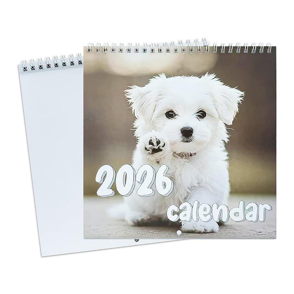 2026 Minimalist Wall Calendar Monthly Planner Hanging Calendar For Home