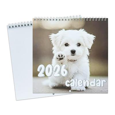 Calendrier Mural Minimaliste 2026 Planificateur Mensuel Calendrier à Suspendre Pour la Maison