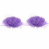 Cheerleader Pom Poms Squad Cheer Sport Party Dance Accessori utili (arancia)