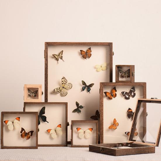 Dobře viditelná vitrína Velký stínový box na hmyz Dřevěná konstrukce Více velikostí Hladký okraj Vzorky hmyzu Úložná vitrína