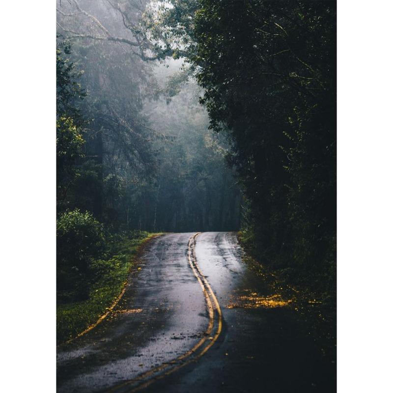 İskandinav doğal manzarası, yeşil orman, yol, dağ gölü, poster, tuval, resim, modern oturma odası için duvar sanatı,