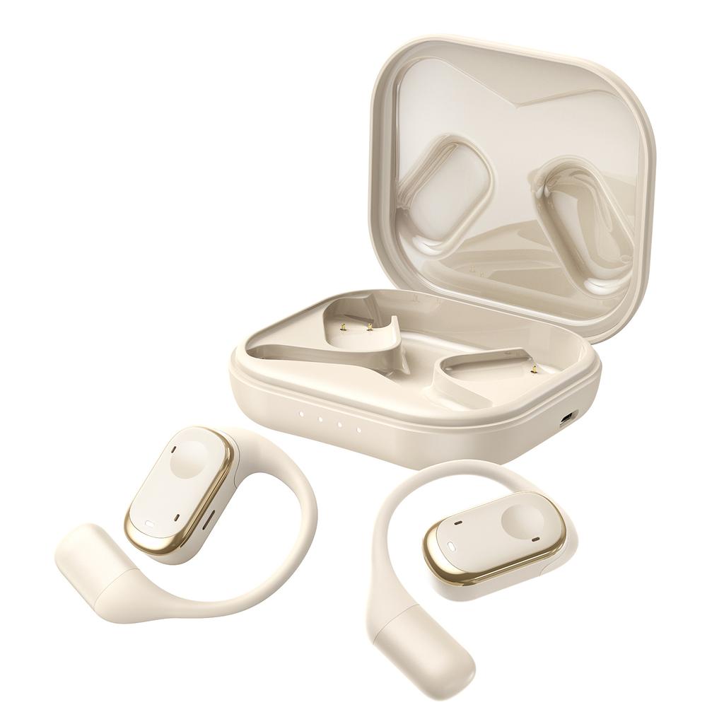 Earbuds Voice Translation Device RealTime 139 Languages Online Offline Wireless BT TwoWay