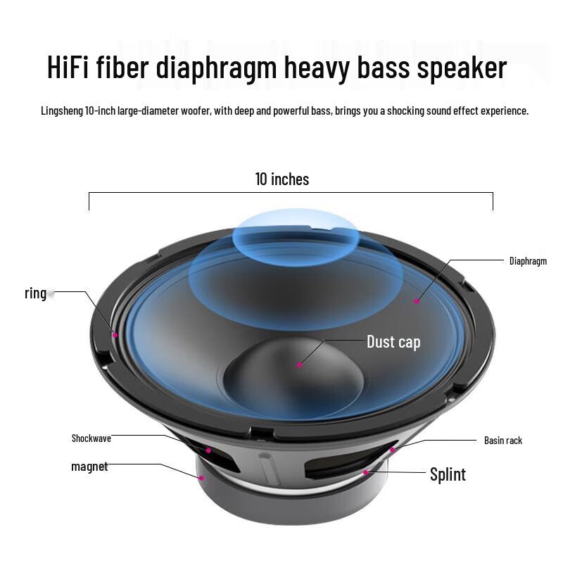 LINGSHENG Home Karaoke System with Speakers