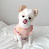 Small Dog Clothes Fashion Comfortable Warm Pet Cat Apparel for Pomeranian Schnauzer Poodle Teddy Dog Pink S