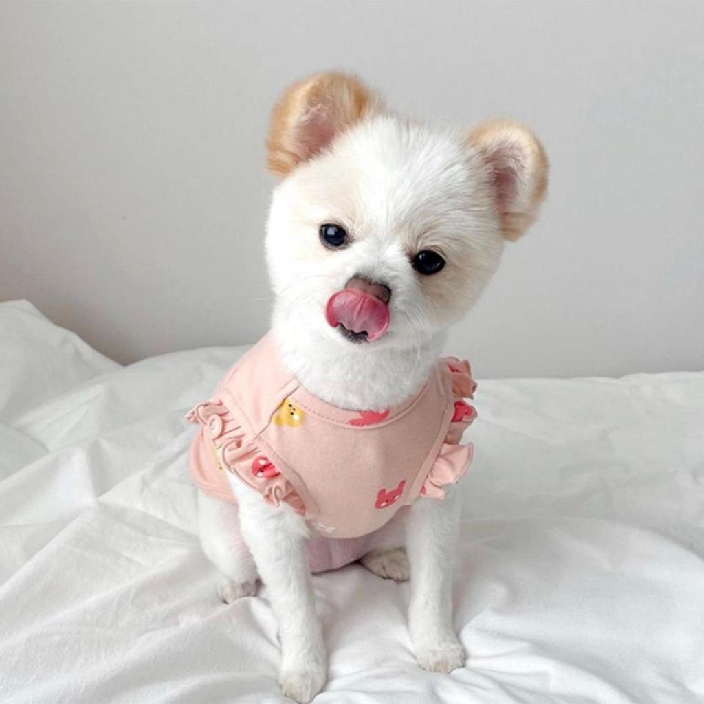Small Dog Clothes Fashion Comfortable Warm Pet Cat Apparel for Pomeranian Schnauzer Poodle Teddy Dog Pink S