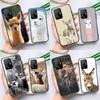 Cute Alpaca Donkey Case For POCO F5 X5 X3 Pro X4 F4 GT F3 M5s C40 Cover For Xiaomi 13 12 Lite 11T 12T Pro 12X