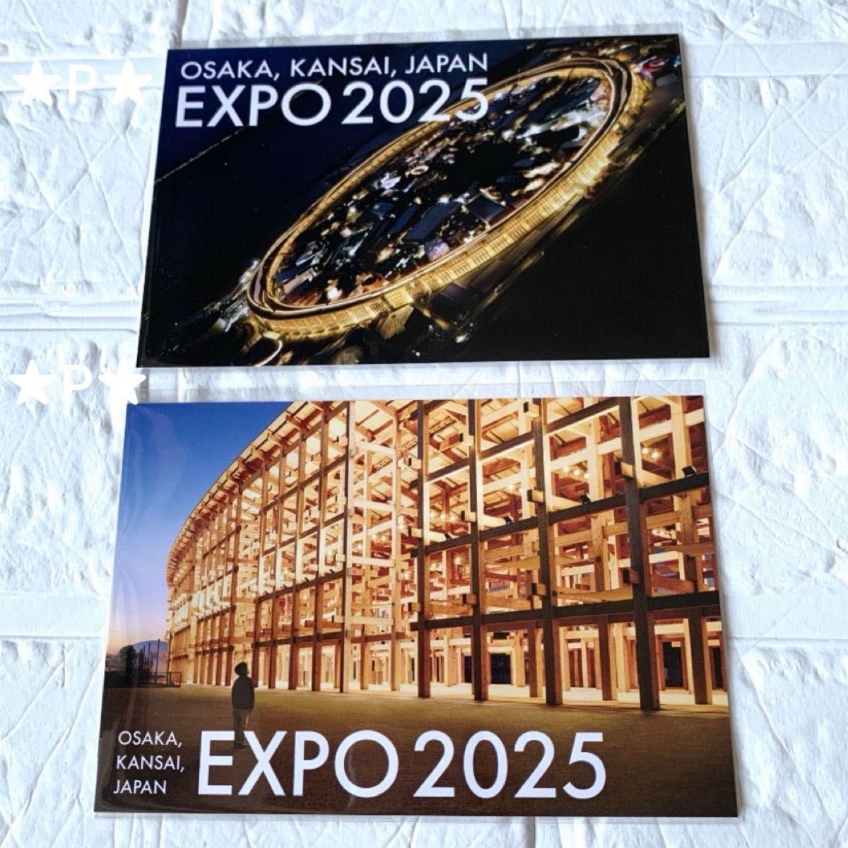 Used EXPO2025 Osaka/Kansai ExpoLarge roof ring clear file sky above ground boy