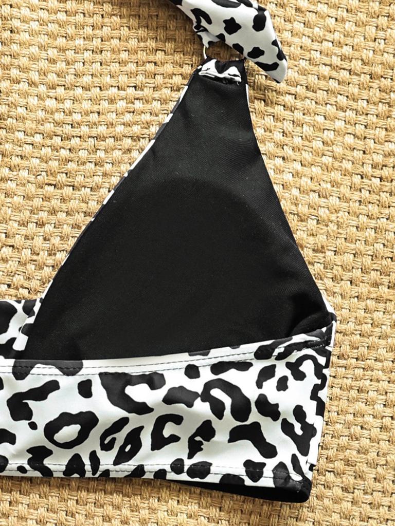 2026 European & American Leopard Print High-Waisted Two-Piece Bikini for Women – Stylish Swimwear