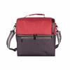 Two-Compartment Insulated Cooler Bag Lightweight for Picnics