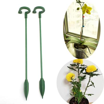 Înverzire şi amenajare – Susținere plante