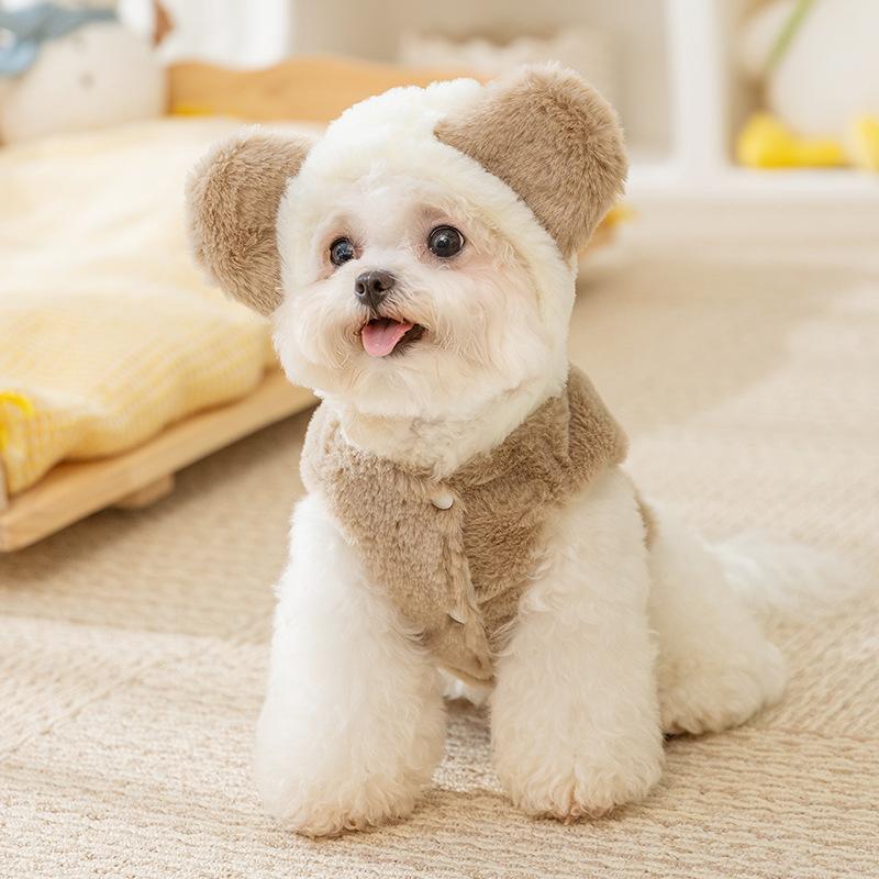 Autumn and winter ins wind dog clothes cute bear two-legged fleece thickened warm winter teddy pet clothes