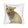 1pc, Coughing Cat Pillowcase, Sofa Pillowcase, Single-Sided Print, Machine Washable, Suitable for Various Rooms, Pillow Insert Not Included