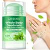 Whole Body Deodorant - Refreshing Mint Scent, Long-lasting Odor and Gentle Underarm Care - Nourishing The Skin and Staying Dry - 72 Hours of Fragrance