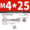 304 Stainless Steel Lead Seal Galvanized Meter Screw with Cross Hole