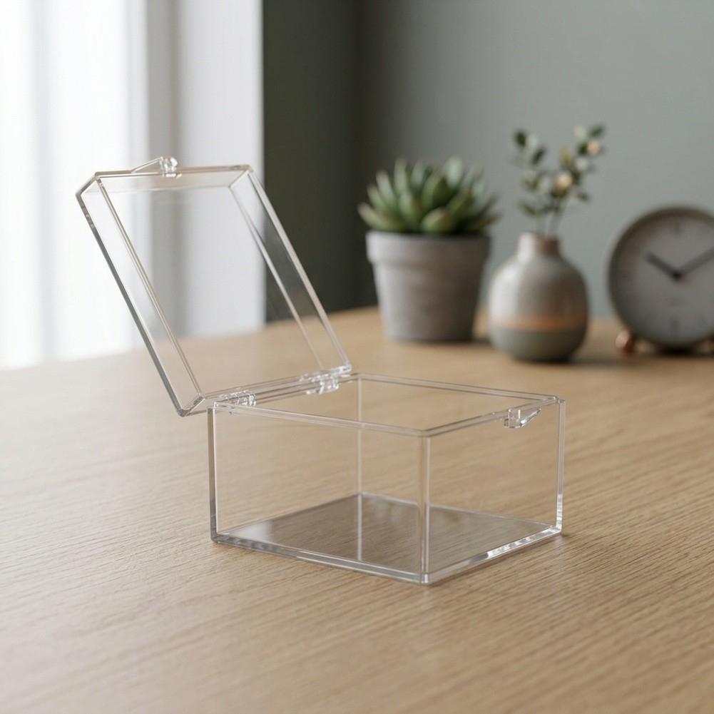 Transparenter Kunststoff-Aufbewahrungskoffer für Insektenpräparate oder kleine Dekorationen (Größe D.)